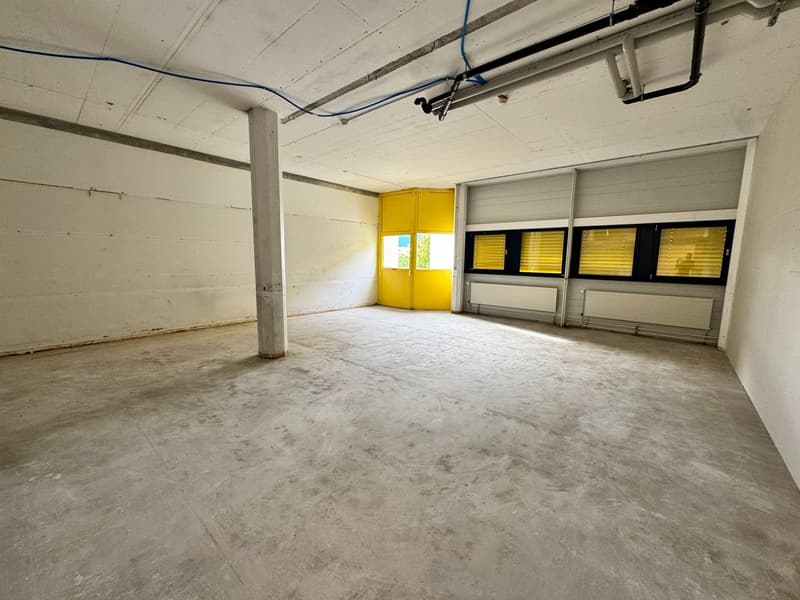 I vostri laboratori industriali o magazzino - Magazzino - da 40 m2 a 230 m2 al prezzo di 210 CHF al m2/anno (1)