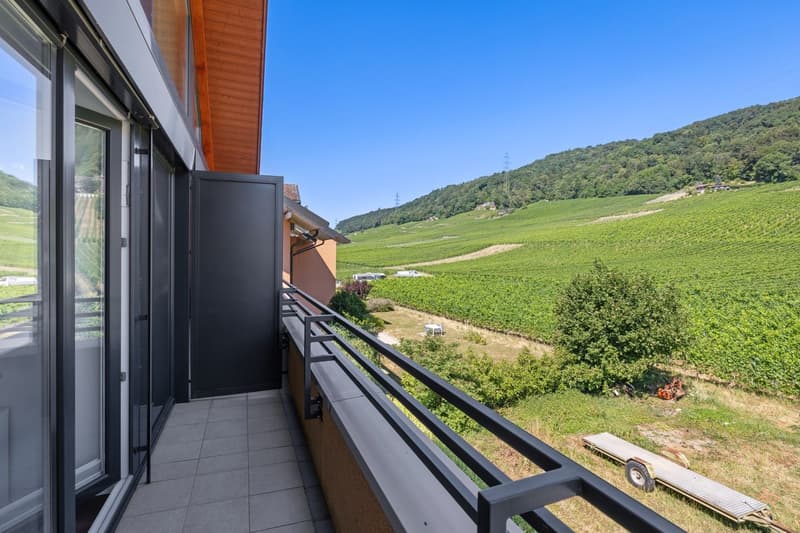 Elegance and comfort for this duplex attic with a view of the lake and the Alps (6)