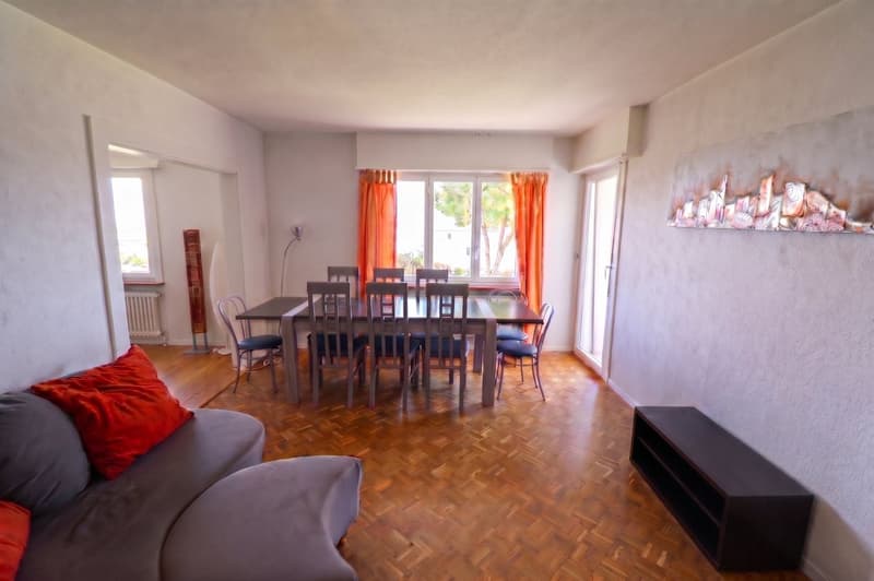 Appartement avec grand jardin et vue panoramique sur le lac (5)