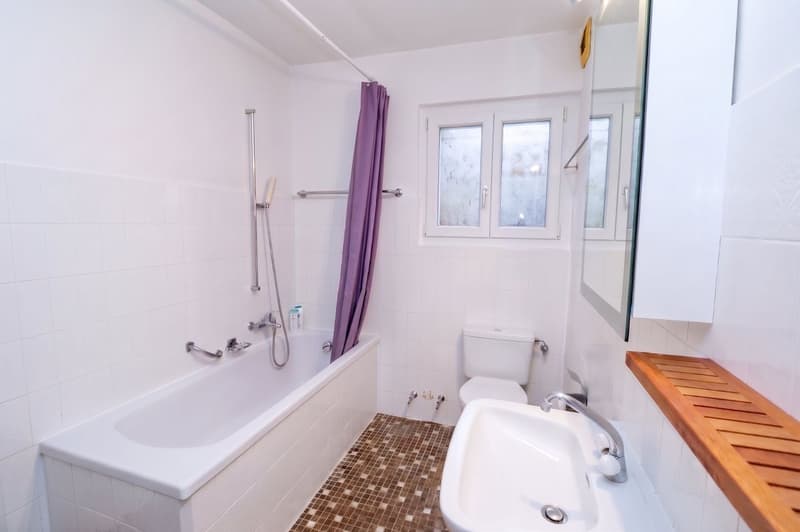 Appartement avec grand jardin et vue panoramique sur le lac (10)
