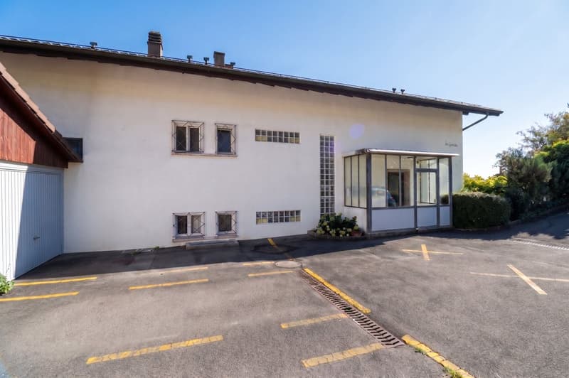 Appartement avec grand jardin et vue panoramique sur le lac (4)