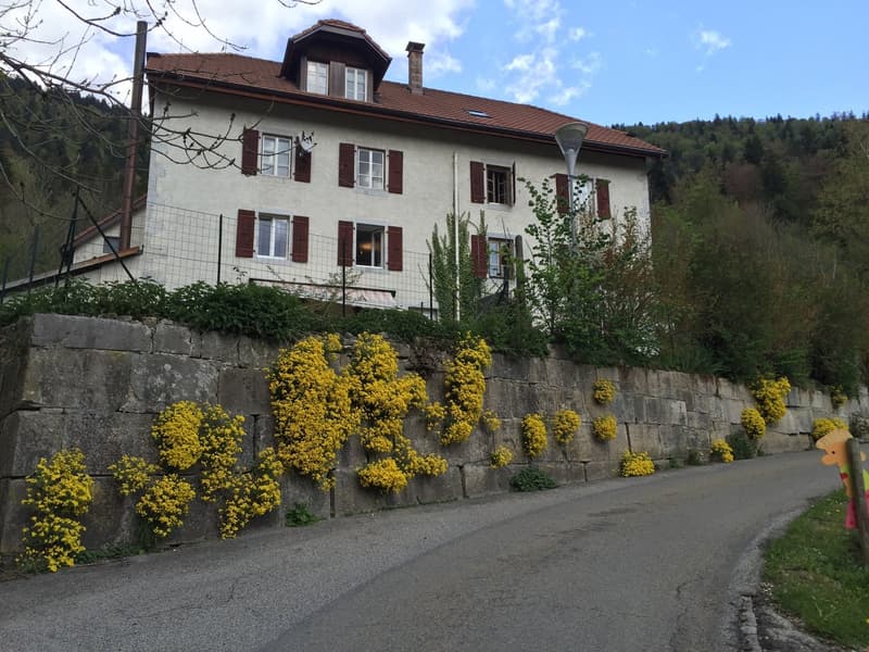 2 story house, brown roof, multiple windows, stone wall with yellow flowers