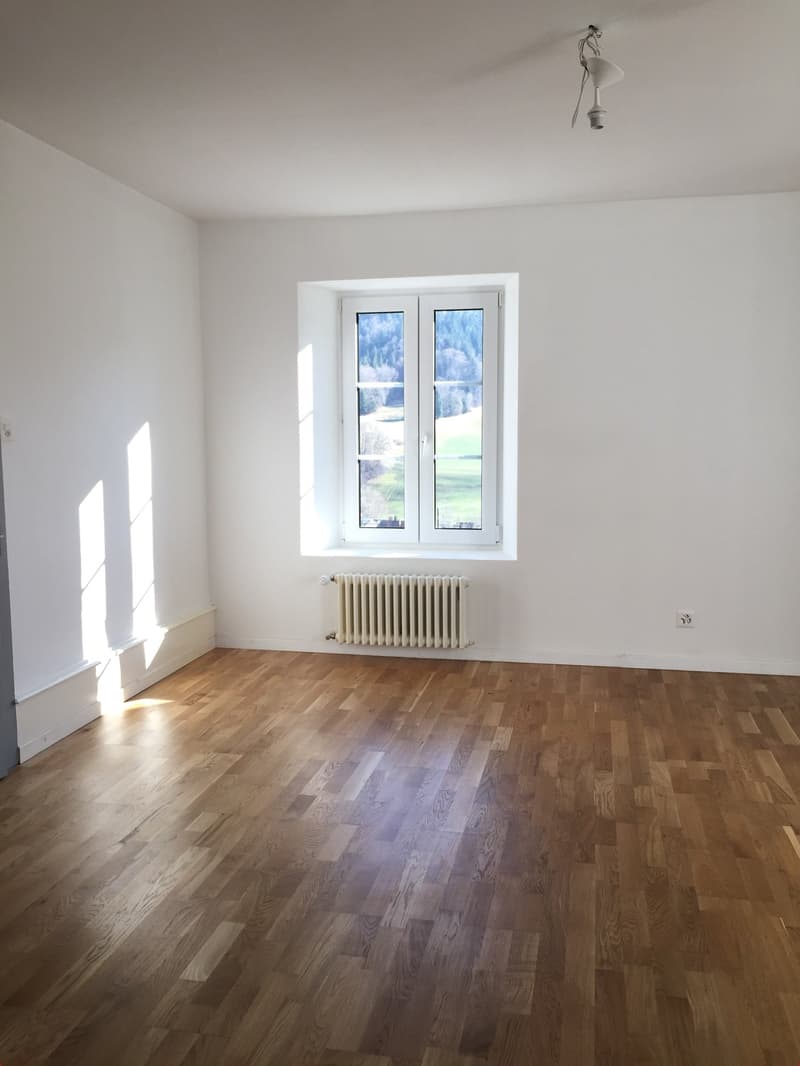 Hardwood floors, white walls, radiator, natural light from a window with countryside view