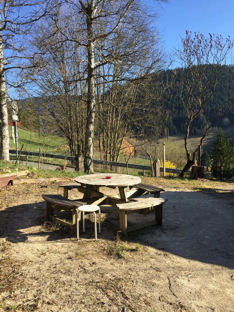 Wooden table with benches and a stool on a gravel ground, with large trees and greenery surrounding it, and a background view of a road and mountains.
