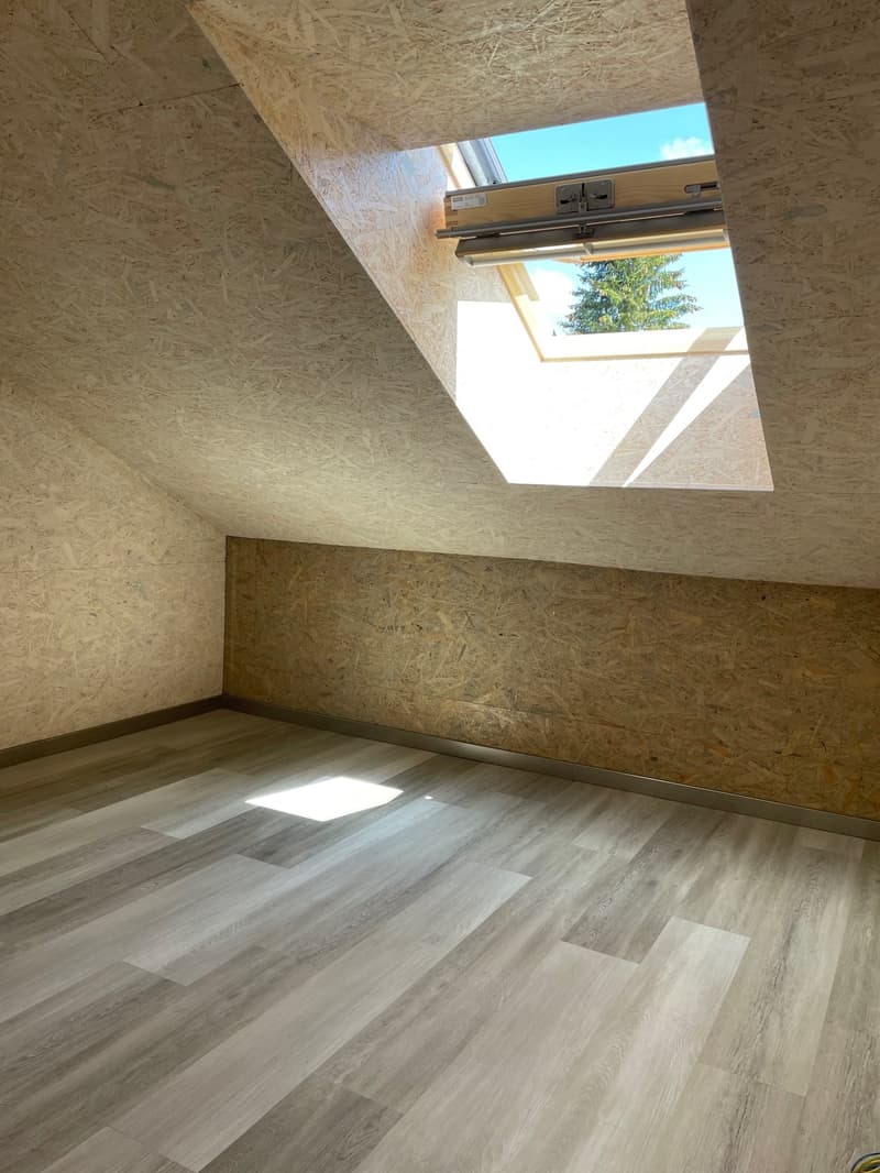 Beautiful renovated apartment with charm + garage (9)