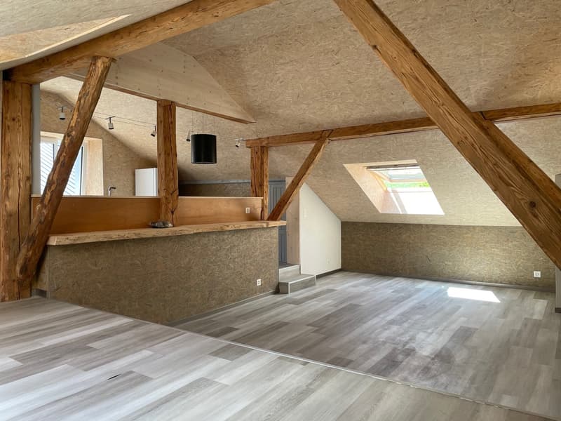 Beautiful renovated apartment with charm + garage (5)