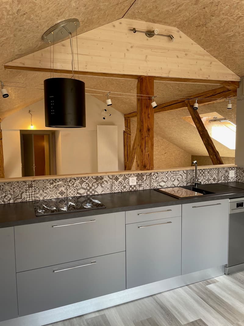 Beautiful renovated apartment with charm + garage (12)