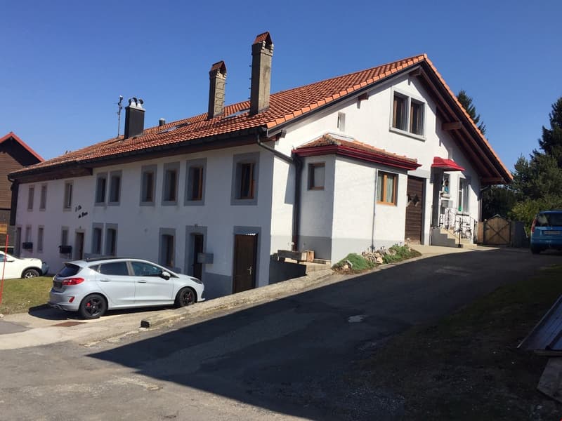 Beautiful renovated apartment with charm + garage (2)