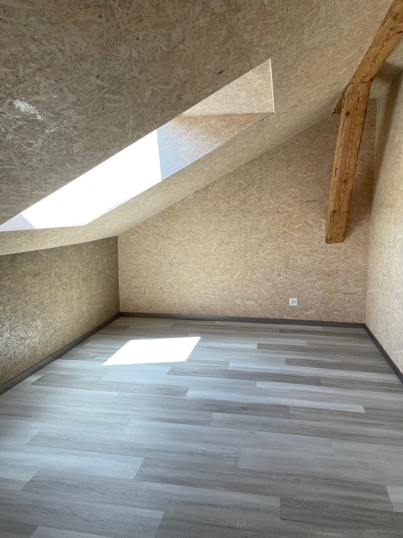 Beautiful renovated apartment with charm + garage (15)