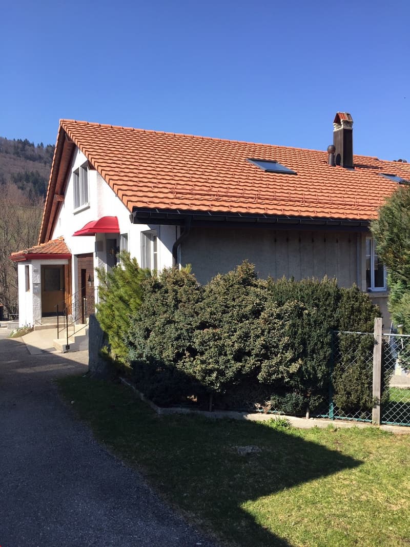 Beautiful renovated apartment with charm + garage (1)
