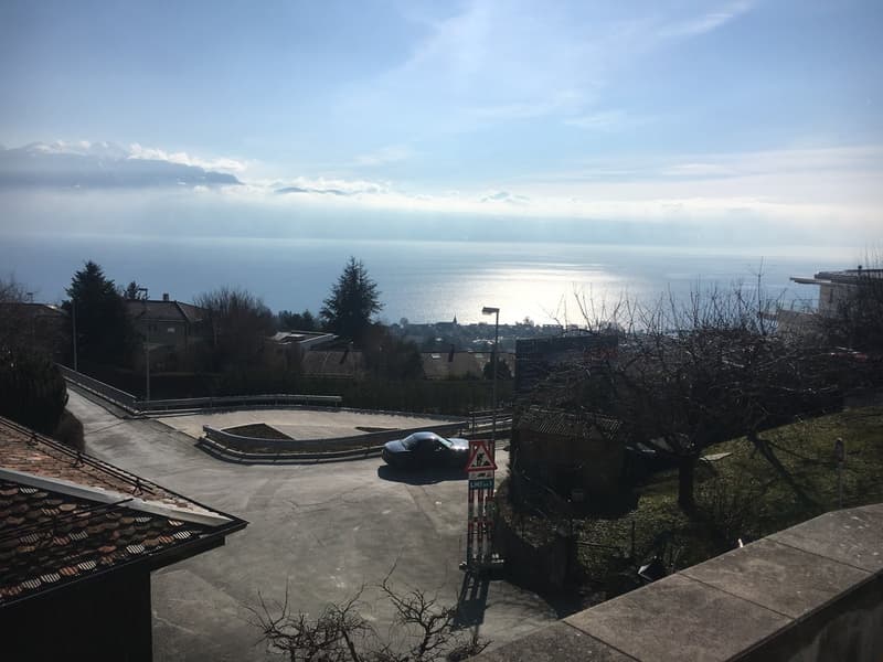 Villa sur les hauts de Lutry (3)