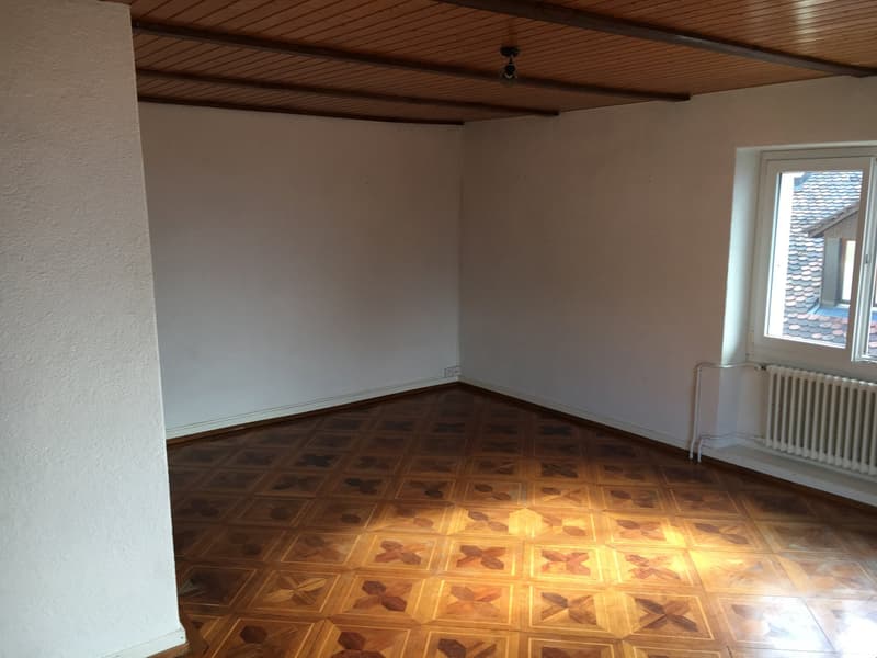 Villa sur les hauts de Lutry (10)