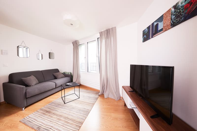 Appartement meublé, moderne 1chambre + Roof Terrace, Lausanne Centre (1)