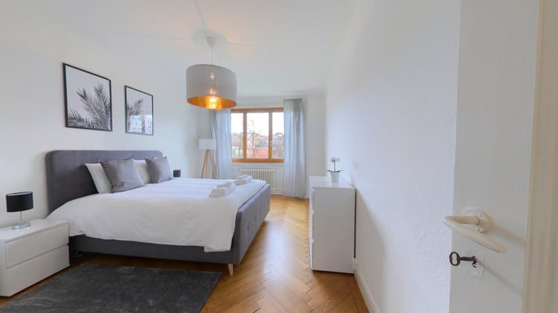 Appartement meublé 107 m2 au centre de Genève (1)