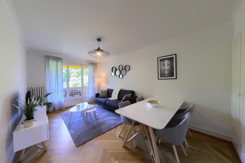 1-bed furnished apartment Geneva - Jonction neighbourhood (1)