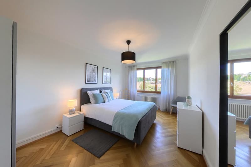 1-bed furnished apartment Geneva - Jonction neighbourhood (2)