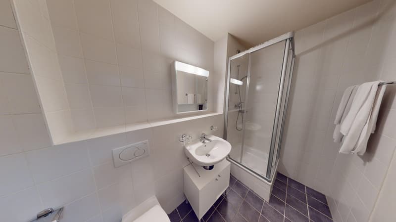 modern bathroom with sink, shower, toilet, towel rack