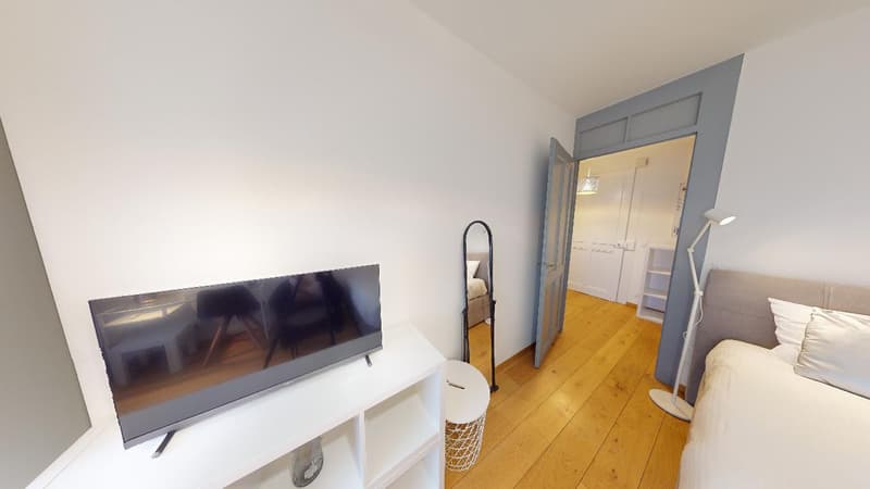Comfortable Studio in Eaux-Vives | Washer, WiFi & Great Transport Links (4)
