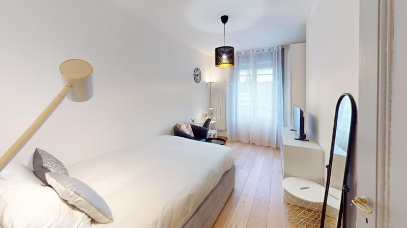 Comfortable Studio in Eaux-Vives | Washer, WiFi & Great Transport Links (3)