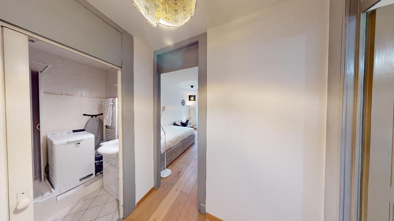 Comfortable Studio in Eaux-Vives | Washer, WiFi & Great Transport Links (10)