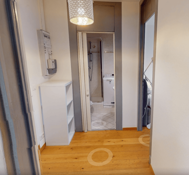 Comfortable Studio in Eaux-Vives | Washer, WiFi & Great Transport Links (12)