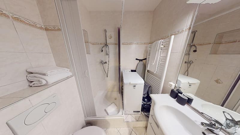 Comfortable Studio in Eaux-Vives | Washer, WiFi & Great Transport Links (8)