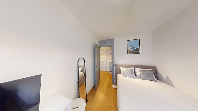 Comfortable Studio in Eaux-Vives | Washer, WiFi & Great Transport Links (9)