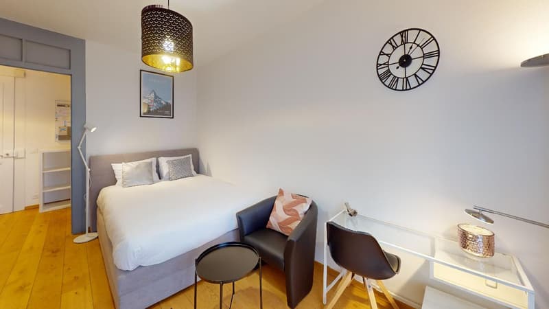 Comfortable Studio in Eaux-Vives | Washer, WiFi & Great Transport Links (1)