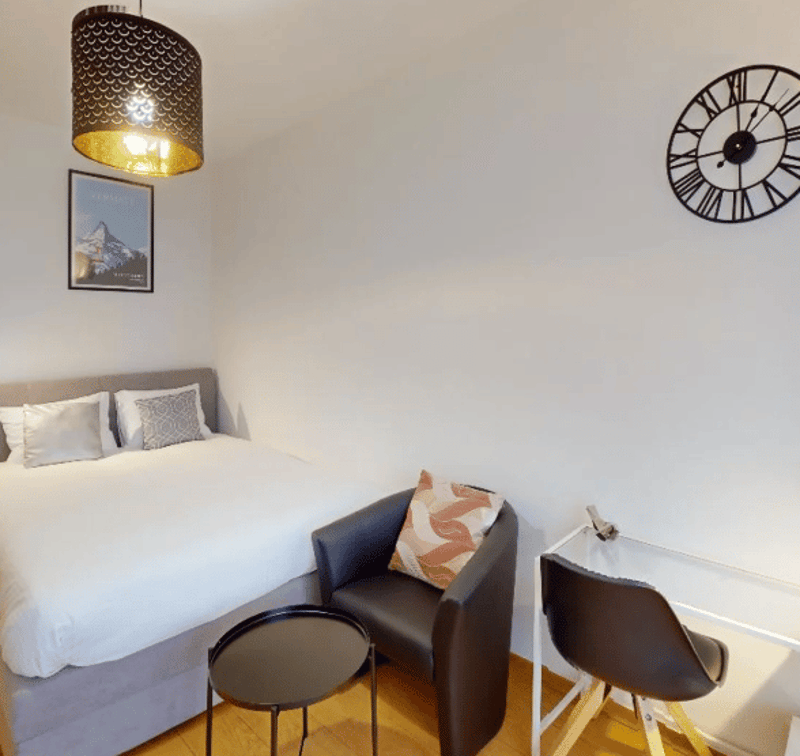 Comfortable Studio in Eaux-Vives | Washer, WiFi & Great Transport Links (14)