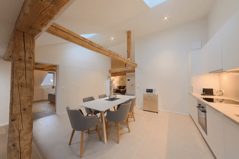 Stylish 1 bed apartment  -  Appartement 2.5 pièces avec cachet (3)