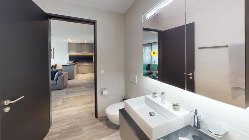 White sink, mirror, wooden floor, white walls, towel rack, toilet, soap dispenser, light