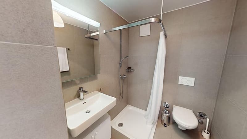 Moden Bright Studio with Balcony - Lausanne city centre - 10min walk from train station (8)