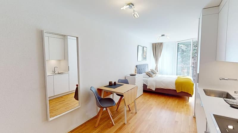Moden Bright Studio with Balcony - Lausanne city centre - 10min walk from train station (2)