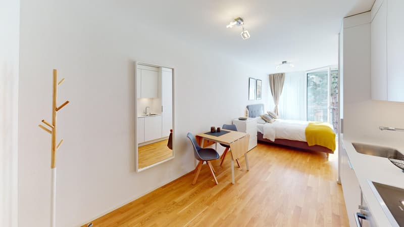 Moden Bright Studio with Balcony - Lausanne city centre - 10min walk from train station (15)
