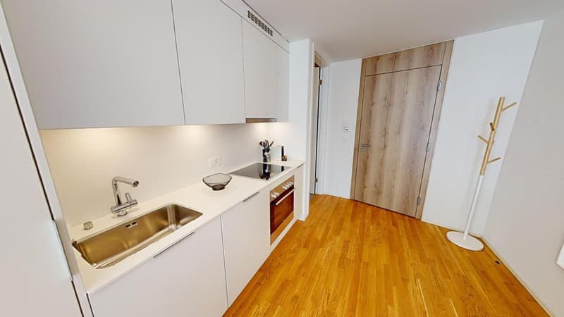 Moden Bright Studio with Balcony - Lausanne city centre - 10min walk from train station (7)