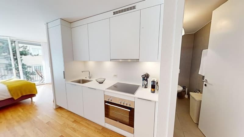 Moden Bright Studio with Balcony - Lausanne city centre - 10min walk from train station (6)