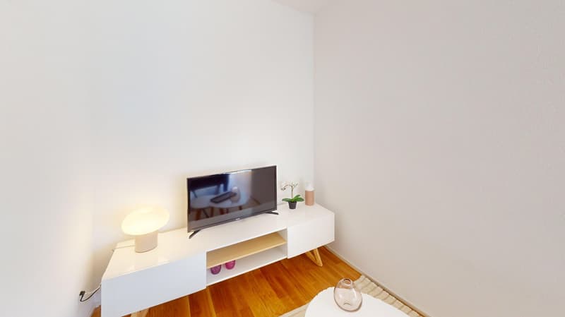 Moden Bright Studio with Balcony - Lausanne city centre - 10min walk from train station (16)