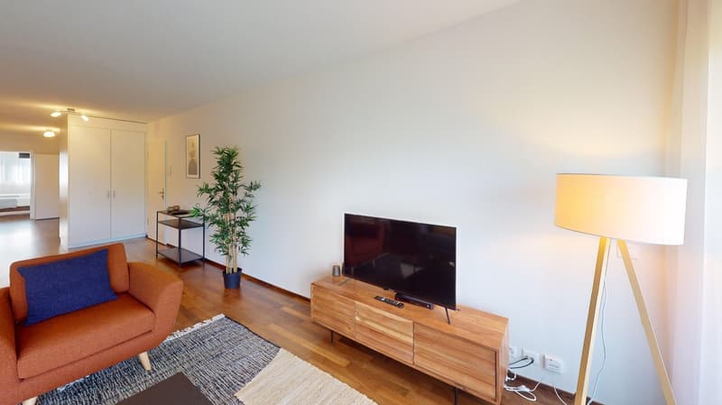 Cozy room, hardwood floor, brown chair, white TV stand, wooden TV, floor lamp, rug
