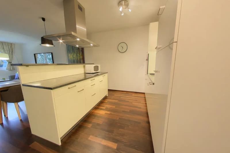 Charming 1-bed apartment with balcony in Morges (2)