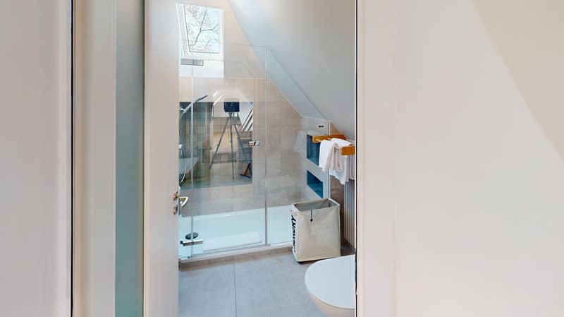 Modern glass shower, toilet, towel hanger, laundry basket, skylight
