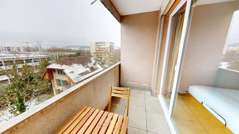 Renovated furnished studio in Geneva's Plainpalais district (7)