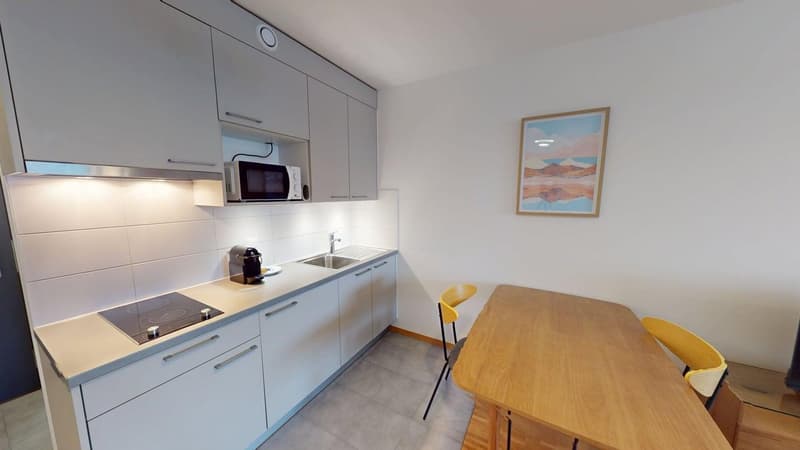 Renovated furnished studio in Geneva's Plainpalais district (4)