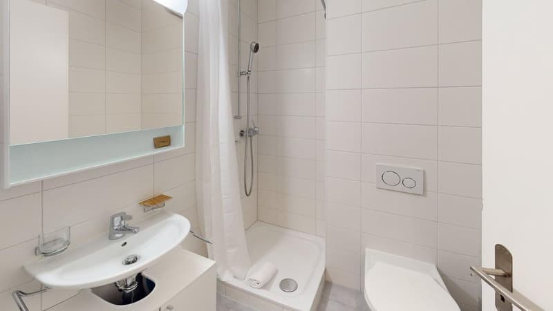 Renovated furnished studio in Geneva's Plainpalais district (10)