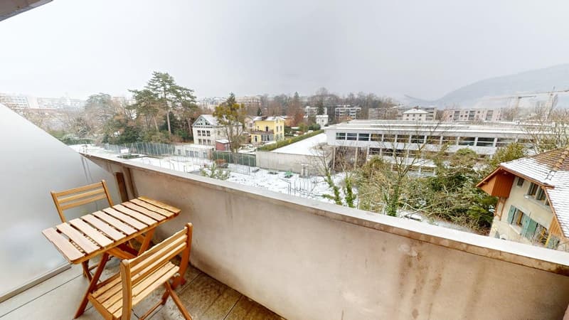 Renovated furnished studio in Geneva's Plainpalais district (6)