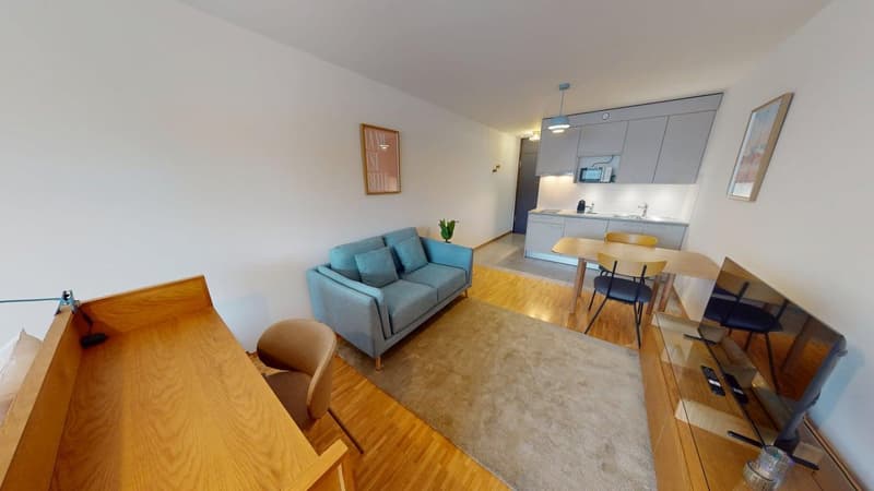 Renovated furnished studio in Geneva's Plainpalais district (8)