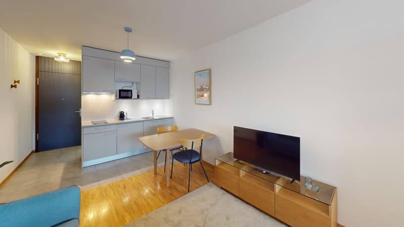 Renovated furnished studio in Geneva's Plainpalais district (13)
