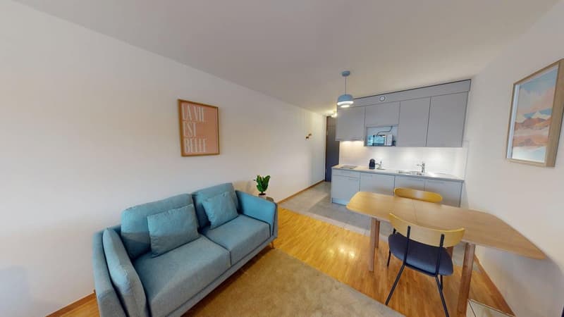 Renovated furnished studio in Geneva's Plainpalais district (11)