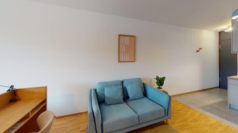 Renovated furnished studio in Geneva's Plainpalais district (14)