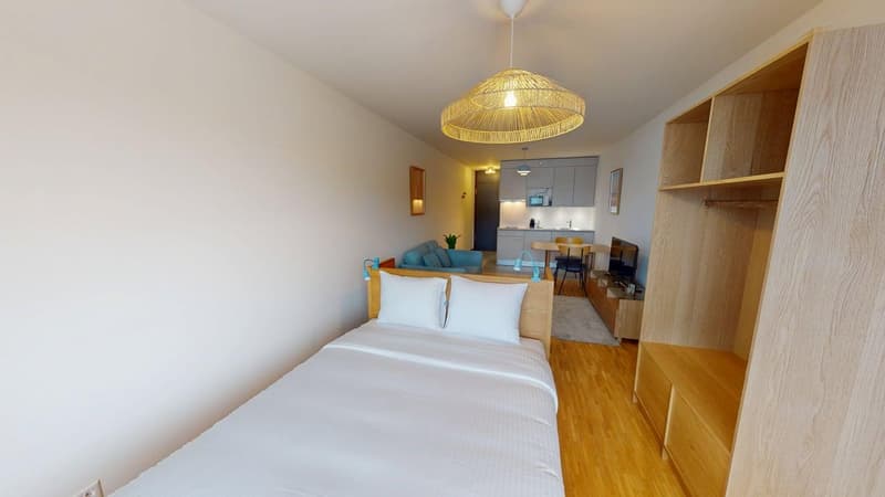 Renovated furnished studio in Geneva's Plainpalais district (3)