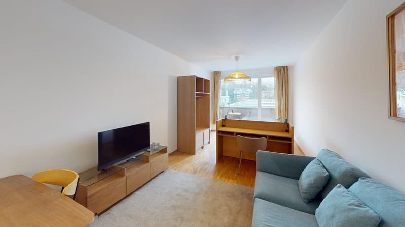 Renovated furnished studio in Geneva's Plainpalais district (9)